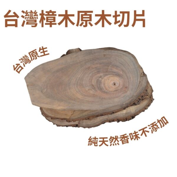 台灣樟樹切片