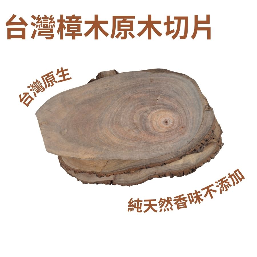 台灣樟樹切片